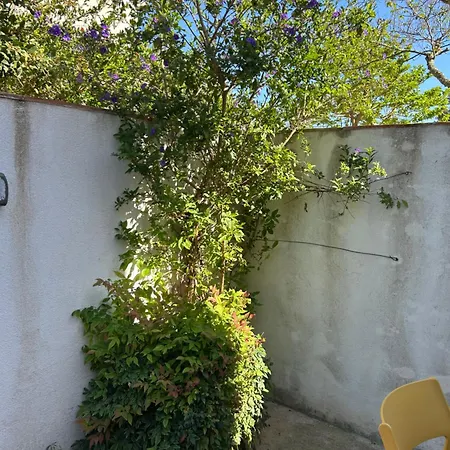 Bed & Breakfast D'hotes Casarena Porto-Vecchio (Corsica)
